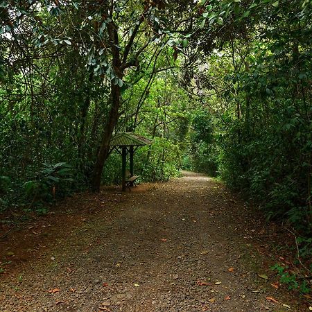 Tree Houses Hotel Costa Rica Florencia Εξωτερικό φωτογραφία