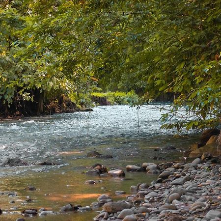 Tree Houses Hotel Costa Rica Florencia Εξωτερικό φωτογραφία