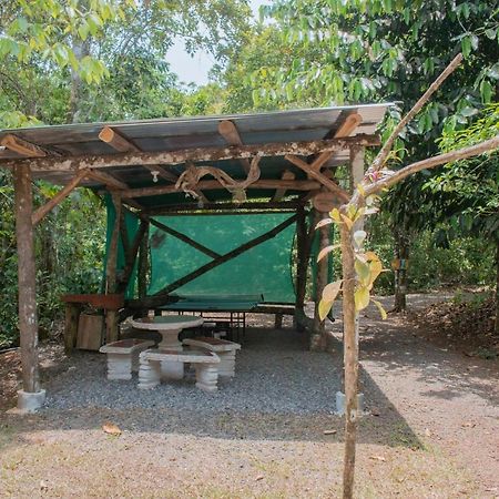Tree Houses Hotel Costa Rica Florencia Εξωτερικό φωτογραφία