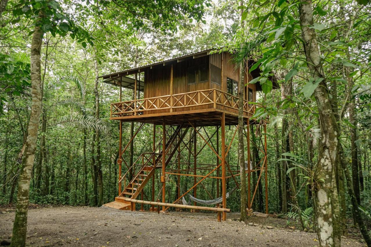 Tree Houses Hotel Costa Rica Florencia Εξωτερικό φωτογραφία