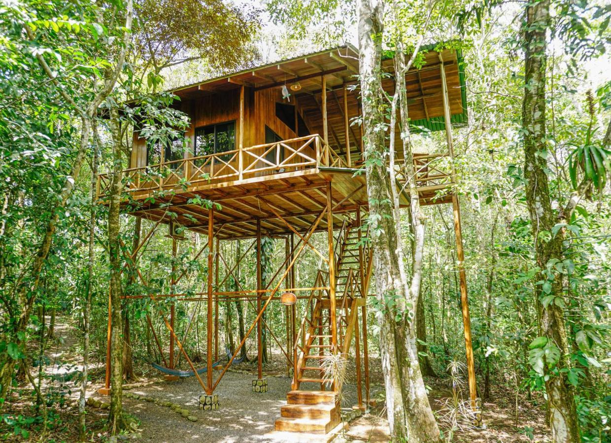 Tree Houses Hotel Costa Rica Florencia Εξωτερικό φωτογραφία