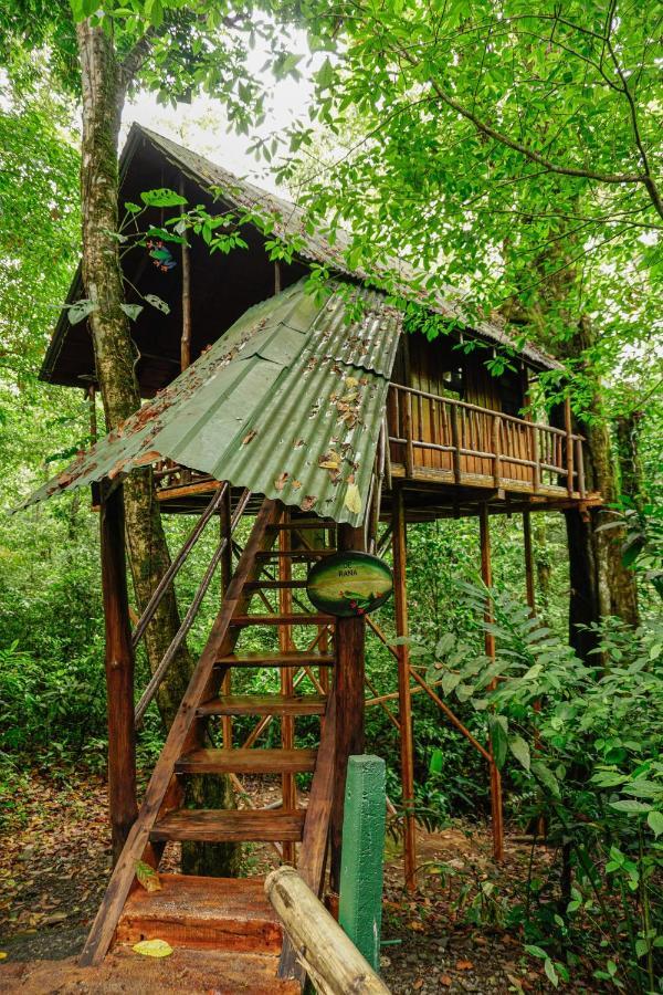 Tree Houses Hotel Costa Rica Florencia Εξωτερικό φωτογραφία