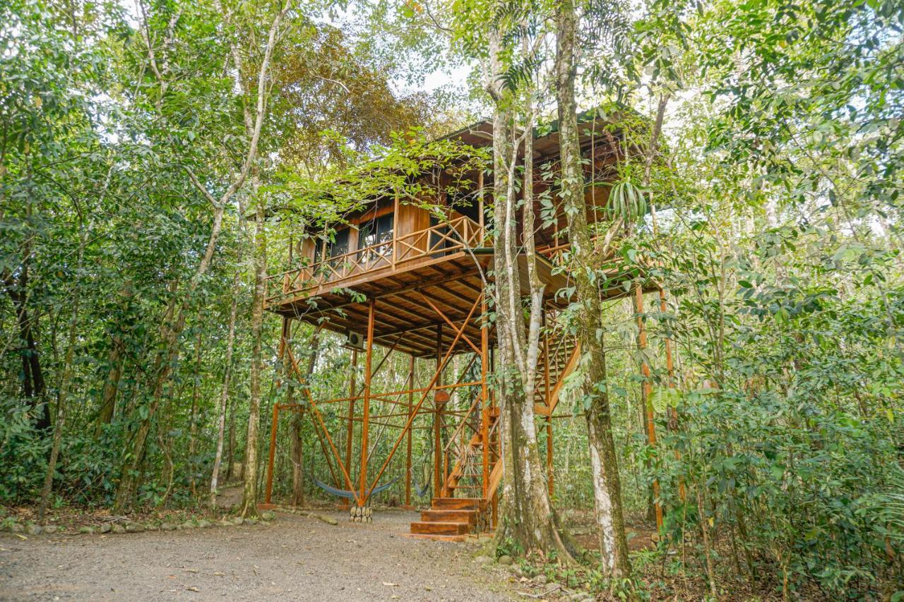 Tree Houses Hotel Costa Rica Florencia Εξωτερικό φωτογραφία