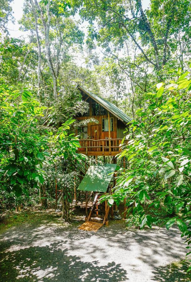 Tree Houses Hotel Costa Rica Florencia Εξωτερικό φωτογραφία