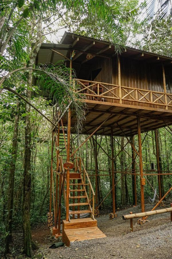 Tree Houses Hotel Costa Rica Florencia Εξωτερικό φωτογραφία