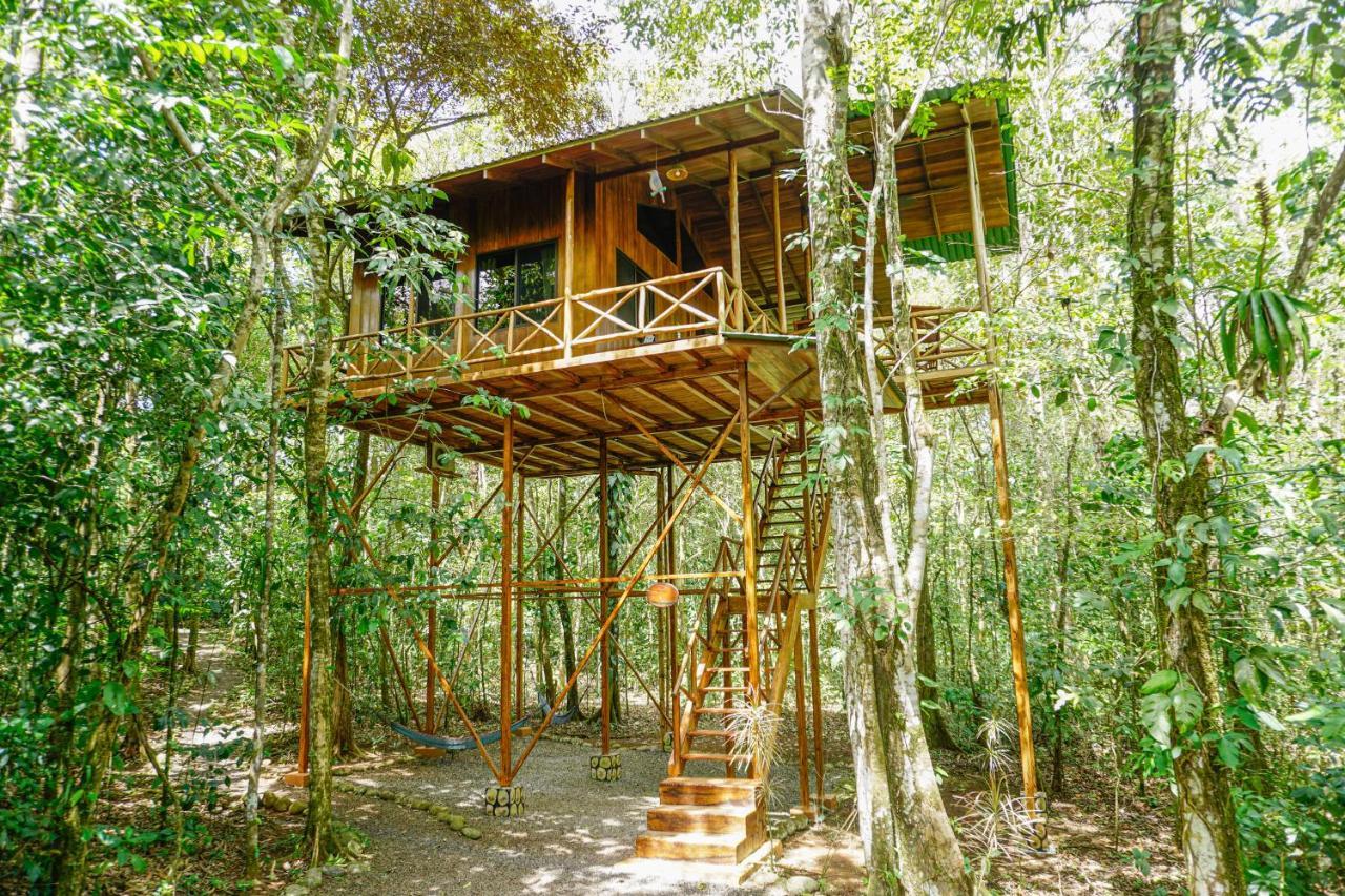 Tree Houses Hotel Costa Rica Florencia Εξωτερικό φωτογραφία