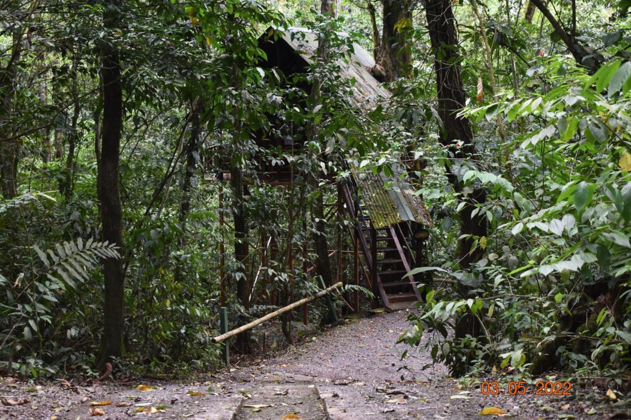 Tree Houses Hotel Costa Rica Florencia Εξωτερικό φωτογραφία