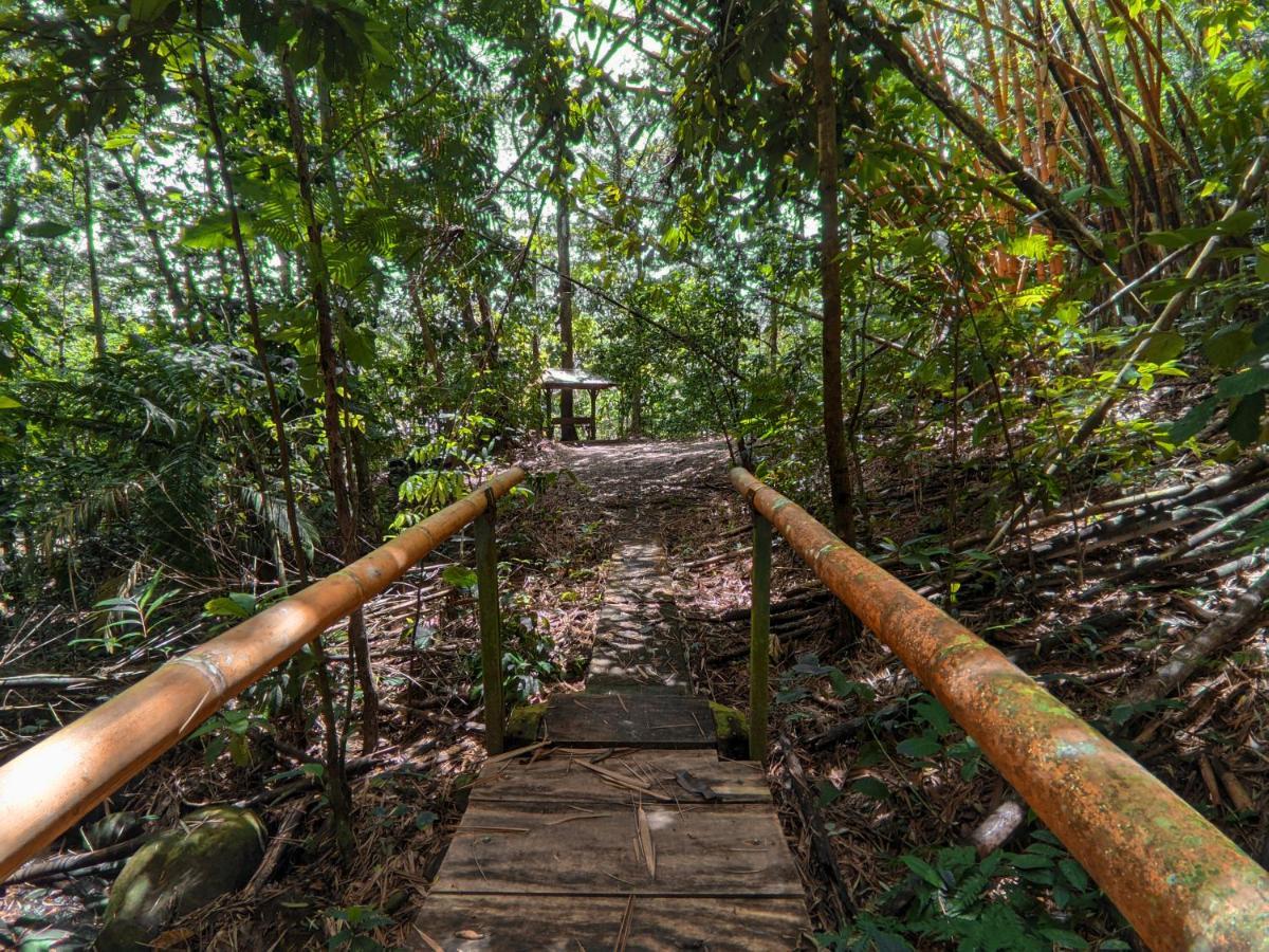Tree Houses Hotel Costa Rica Florencia Εξωτερικό φωτογραφία