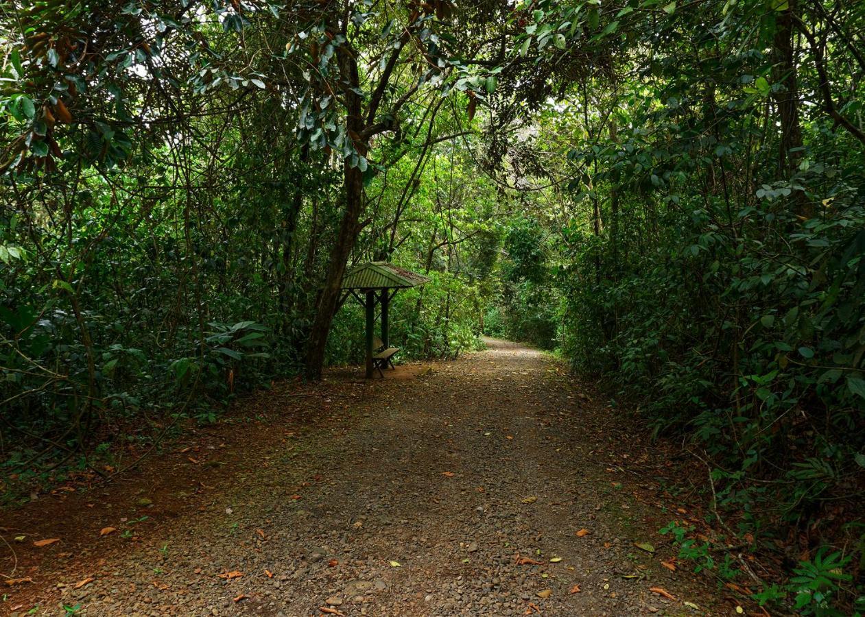 Tree Houses Hotel Costa Rica Florencia Εξωτερικό φωτογραφία