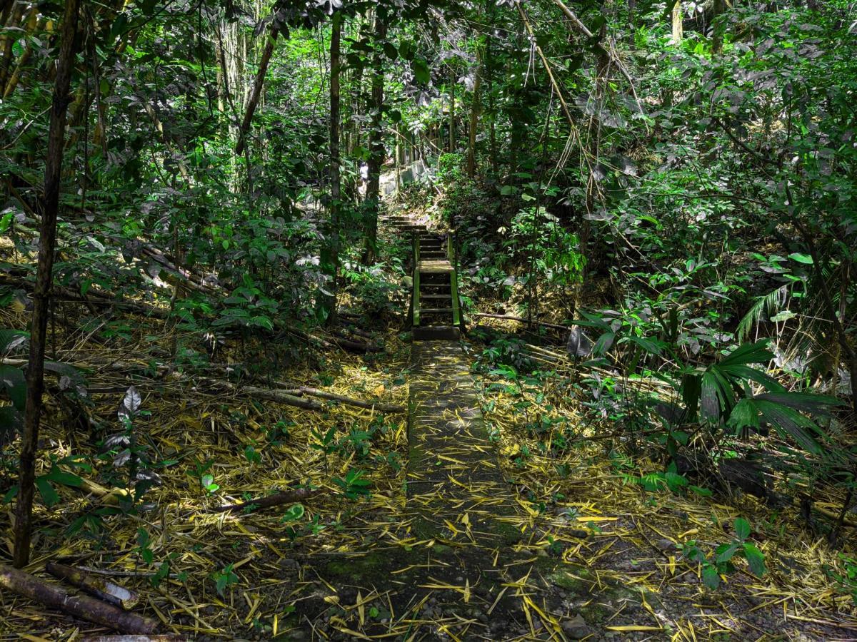 Tree Houses Hotel Costa Rica Florencia Εξωτερικό φωτογραφία